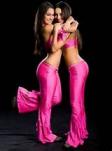 WWE DIVAS ( The Bella Twins )