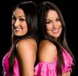 bellas 7 - The Bella Twins Picture